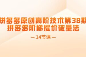 （11704期）拼多多原创高阶技术第38期，拼多多阶梯提价破量法（14节课）-麦资源网