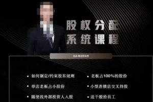 韩老师聊美业-美业股权分配系统课程，如何制定约束股东规则+老板占100%的股份+单店老板占小股份等-麦资源网