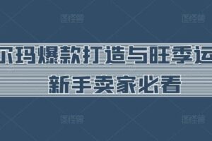 沃尔玛爆款打造与旺季运营，新手卖家必看-麦资源网
