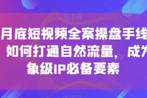 12月底短视频全案操盘手线下课，如何打通自然流量，成为想象级IP必备要素-麦资源网