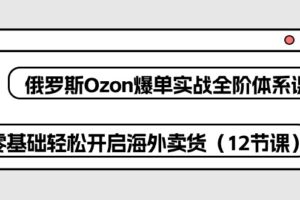 （10555期）俄罗斯 Ozon-爆单实战全阶体系课，零基础轻松开启海外卖货（12节课）-麦资源网
