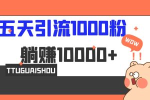 （6745期）5天引流1000+，赚了1w+-麦资源网