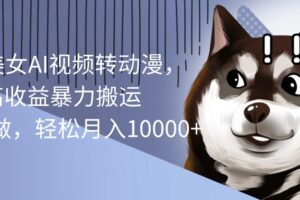 （10593期）海外美女AI视频转动漫，高收益暴力搬运，听话照做，轻松月入10000+-麦资源网