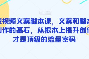 爆款短视频文案脚本课，文案和脚本是短视频创作的基石，从根本上提升创作能力才是顶级的流量密码-麦资源网