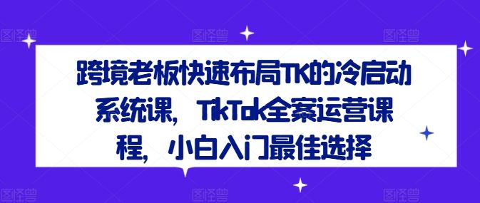 跨境*快速布局TK的冷启动系统课，TikTok全案运营课程，小白入门*选择
