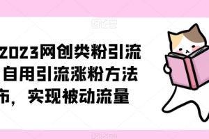 ​小淘2023网创类粉引流术，自用引流涨粉方法发布，实现被动流量-麦资源网