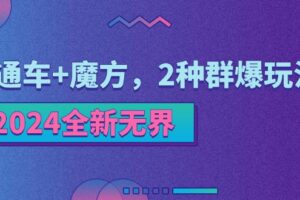 （11479期）2024全新无界：直通车+魔方，2种群爆玩法-麦资源网