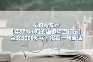 （11216期）某付费文【年赚100万的虚拟项目打法】全文5000多字，没有一句废话-麦资源网