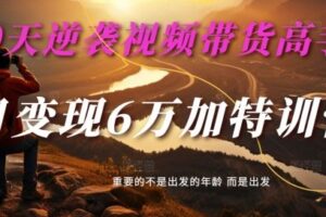 30天逆袭视频带货高手，单月变现6万加特训营-麦子甜-麦资源网