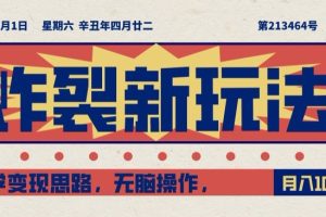 炸裂新玩法,哲学变现思路,无脑操作,只靠单人月入10000+【揭秘】-麦资源网