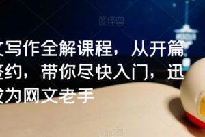 网文写作全解课程，从开篇到签约，带你尽快入门，迅速成为网文老手-麦资源网