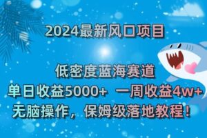 2024最新风口项目，低密度蓝海赛道，单日收益5000+，一周收益4w+！【揭秘】-麦资源网