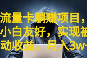 流量卡躺赚项目，小白友好，开设后台，实现被动收益，只要出卡，就能一直赚钱，利润高昂【揭秘】-麦资源网