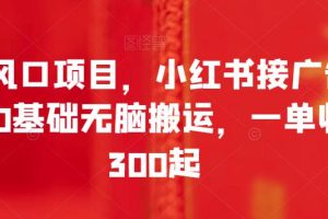 全新风口项目，小红书接广告变现，0基础无脑搬运，一单收入300起-麦资源网