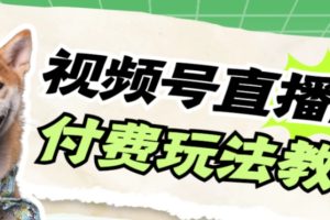 视频号美女付费无人直播，轻松日入500+【详细玩法教程】-麦资源网