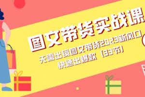 （7496期）图文带货实战课：无需出镜图文带货2023新风口，快速出爆款（33节）-麦资源网
