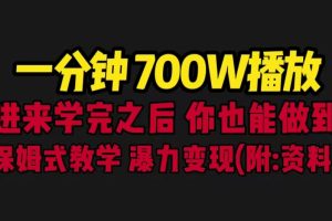 （6538期）一分钟700W播放 进来学完 你也能做到 保姆式教学 暴力变现（教程+83G素材）-麦资源网
