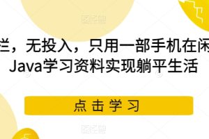 无门栏，无投入，只用一部手机在闲鱼卖Java学习资料实现躺平生活【揭秘】-麦资源网