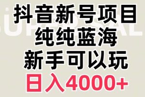 抖音蓝海赛道，必须是新账号，日入4000+【揭秘】-麦资源网