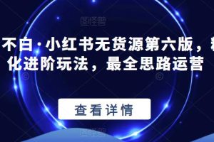 绅白不白·小红书无货源第六版，精细化进阶玩法，最全思路运营-麦资源网