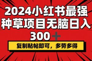（12336期）2024小红书最强种草项目，无脑日入300+，复制粘帖即可，多劳多得-麦资源网