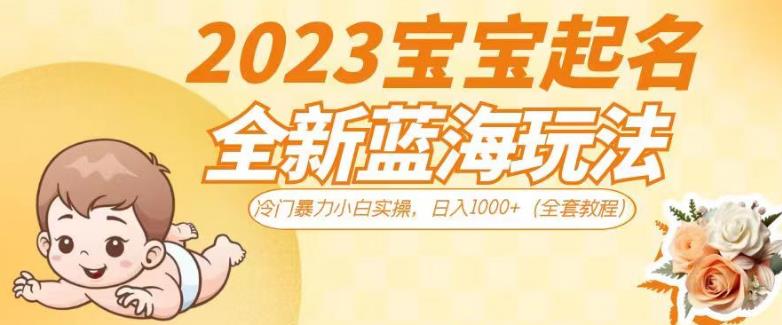 2023宝宝起名全新蓝海玩法，冷门*小白实操，日入1000+（全套教程）【揭秘】