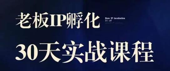 诸葛·2023*IP实战课，实体同城引流获客，IP孵化必听