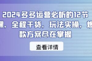 2024多多运营必听的12节课，全程干货，玩法实操，爆款方案尽在掌握-麦资源网