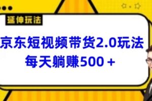 2024最新京东短视频带货2.0玩法，每天3分钟，日入500+【揭秘】-麦资源网