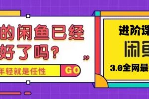 （5289期）火爆全网的咸鱼玩法进阶课程，单号日入1K的咸鱼进阶课程-麦资源网