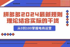 拼多多2024最新规则理论结合实际的干货，从0到100掌握电商运营-麦资源网