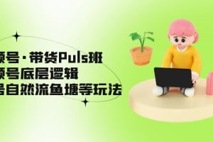 （5027期）视频号·带货Puls班，视频号底层逻辑，起号自然流鱼塘等玩法-麦资源网