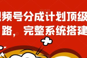 视频号分成计划顶级思路，完整系统搭建【揭秘】-麦资源网
