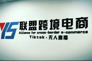 (5016期)Tiktok无人直播,不出镜不剪辑不拍摄不发货无售后的跨境短视频躺赚玩法-麦资源网