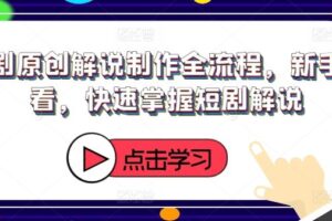 短剧原创解说制作全流程，新手必看，快速掌握短剧解说-麦资源网