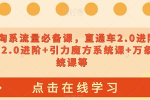 2023淘系流量必备课，直通车2.0进阶+引力魔方2.0进阶+引力魔方系统课+万象台系统课等-麦资源网