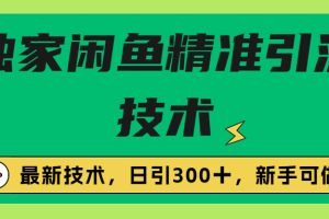 （6635期）独家闲鱼引流技术，日引300＋实战玩法-麦资源网