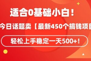 靠今日话题玩法卖【最新450个搞钱玩法合集】，轻松上手稳定一天500+【揭秘】-麦资源网