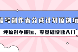 视频号创作者分成计划原创玩法；纯原创不搬运、零基础快速入门-麦资源网