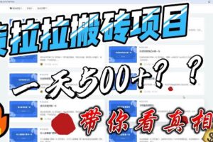 （6388期）最新外面割5000多的货拉拉搬砖项目，一天500-800，首发拆解痛点-麦资源网