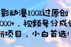 （10052期）AI电影动漫100%过原创，日入2000+，视频号分成计划最新项目，小白首选！-麦资源网