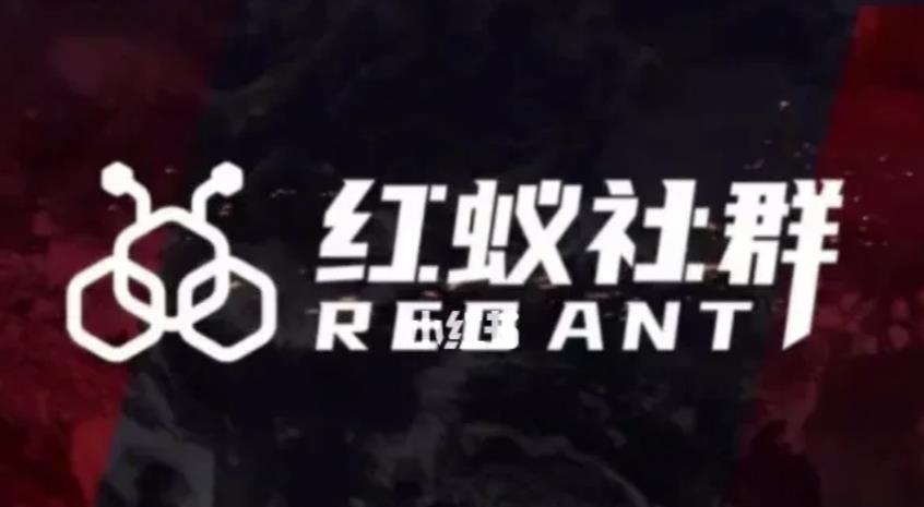 社群运营：红蚁社群【48节落地系统课程+2000人*社群】