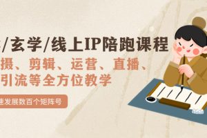 （7318期）国学/玄学/线上IP陪跑课程，从0-1全方位教学，快速发展数百个矩阵号-麦资源网