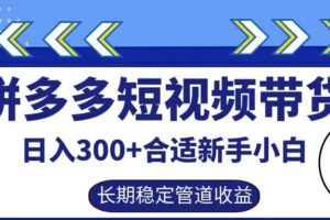 拼多多短视频带货日入300+，实操账户展示看就能学会-麦资源网