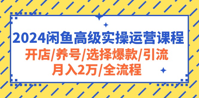 图片[1]-（10711期）2024闲鱼高级实操运营课程：开店/养号/选择爆款/引流/月入2万/全流程
