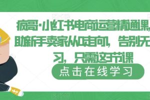 疯哥·小红书电商运营精通课，帮助新手卖家从0走向1，告别无效学习，只需这3节课-麦资源网