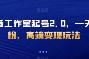 抖音工作室起号2.0，一天千粉，高端变现玩法【揭秘】-麦资源网