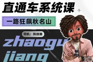 照顾酱·直通车系统课，从0到1搭建你的付费推广思维，讲基础，讲思路，讲方法，也讲实操-麦资源网