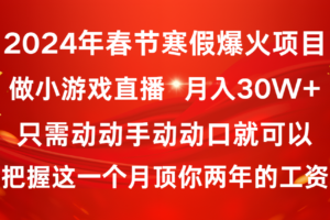 （8721期）2024年春节寒假爆火项目，普通小白如何通过小游戏直播做到月入30W+-麦资源网