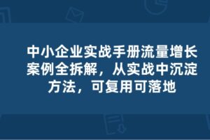 （10889期）中小 企业 实操手册-流量增长案例拆解，从实操中沉淀方法，可复用可落地-麦资源网